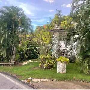 Jungle Bungalow Studio In , Rincon Puerto Rico